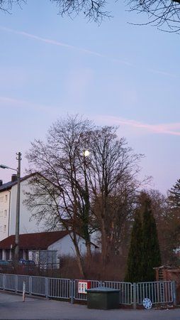 20190322_060756.jpg