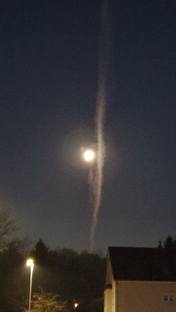 20190323_052734.jpg