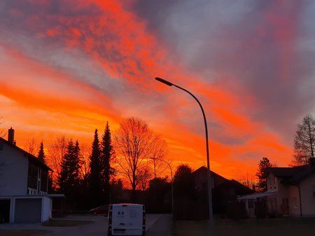 20190322_184512.jpg