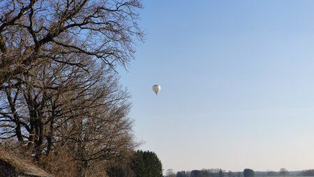 IMG_20190323_163814.jpg