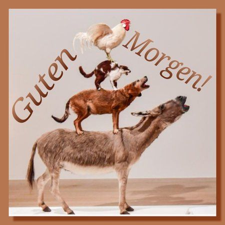 Guten-Morgen.jpg