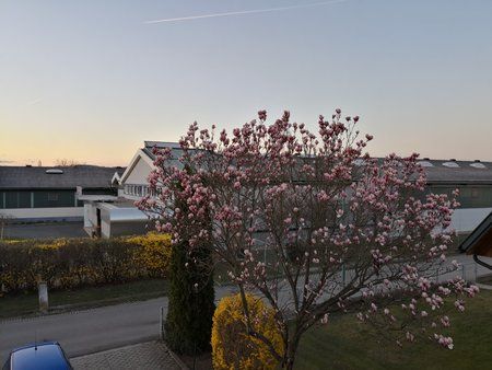IMG_20190326_181646.jpg