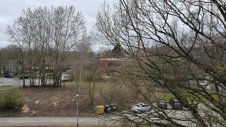 20190328_133524.jpg