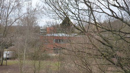 20190328_133528.jpg