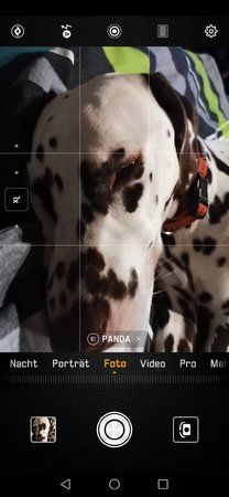 Screenshot_20190328_203832_com.huawei.camera.jpg