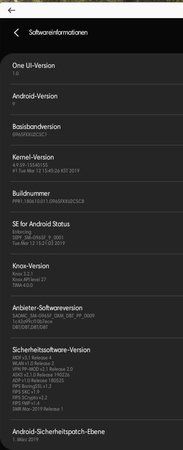 Screenshot_20190328-222052_Settings.jpg