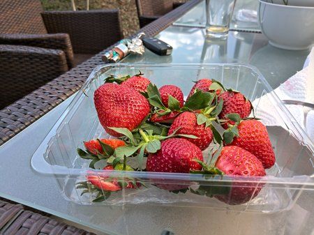 IMG_20190330_161820.jpg