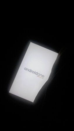 1554075368706-288312431.jpg
