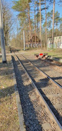 20190401_095043.jpg