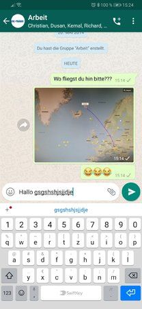 Screenshot_20190401_152424_com.whatsapp.jpg
