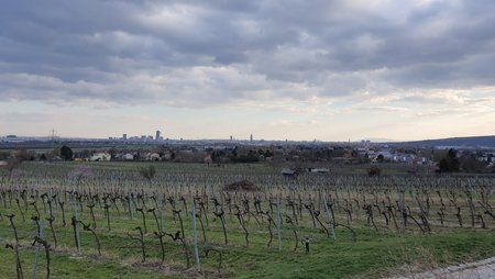 20190326_165216.jpg
