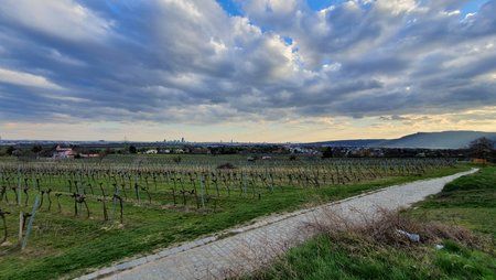 20190326_165226.jpg