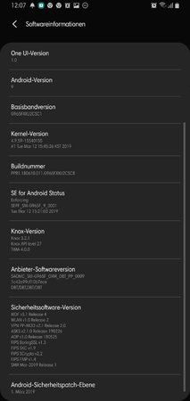 Screenshot_20190402-120750_Settings.jpg
