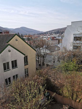IMG_20190402_130719.jpg