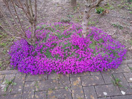 IMG_20190327_185314.jpg
