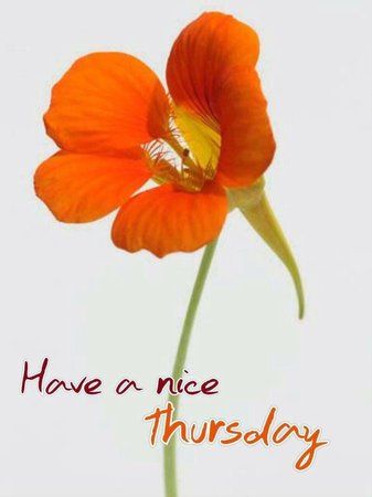 Thursday_1515040322661.jpg