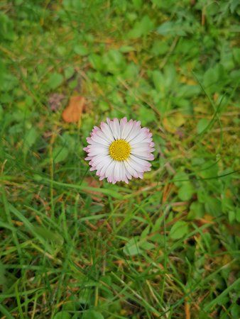 IMG_20190405_141842.jpg