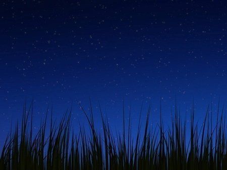 wallpaper_grass_night.jpg