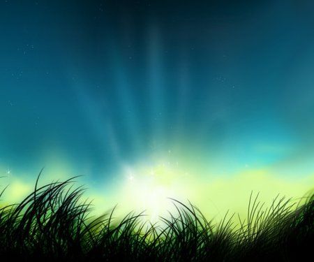 wallpaper_grass_night.jpg