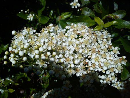 DSC00001.jpg