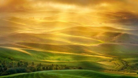 golden_light_palouse.jpg