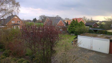 IMAG0061.jpg