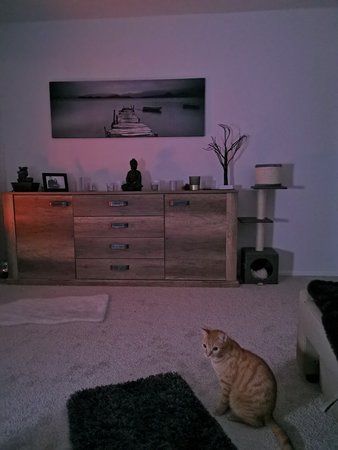 IMG_20190406_012240.jpg