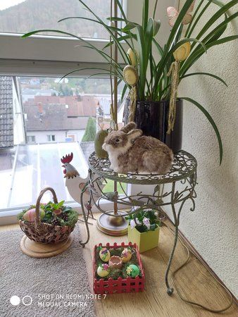 Hase HDR.jpg