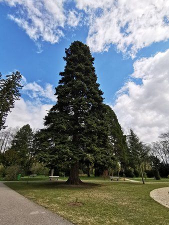 IMG_20190406_132109.jpg