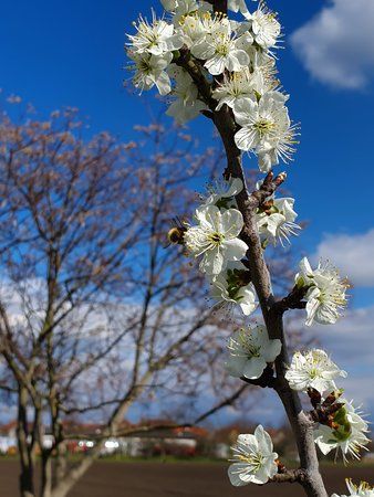 20190406_152504.jpg