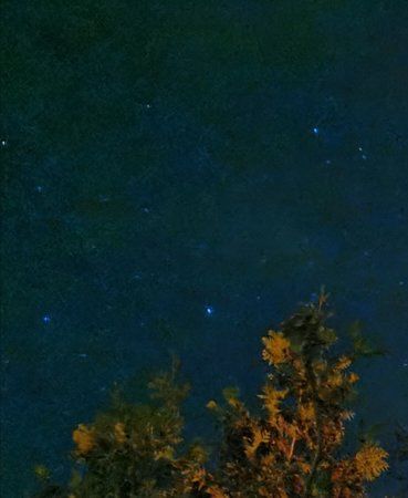 Screenshot_20190407_092539.jpg