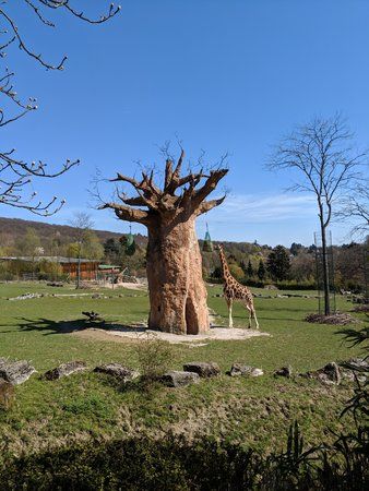 IMG_20190407_120922.jpg