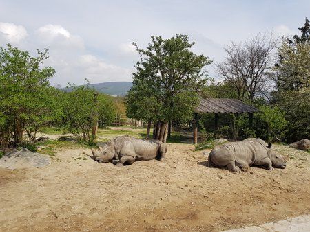 20190407_115536_S8.jpg