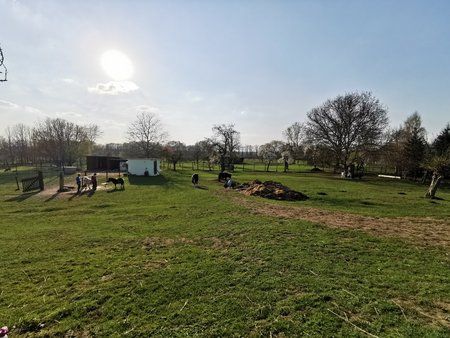 IMG_20190408_173916.jpg