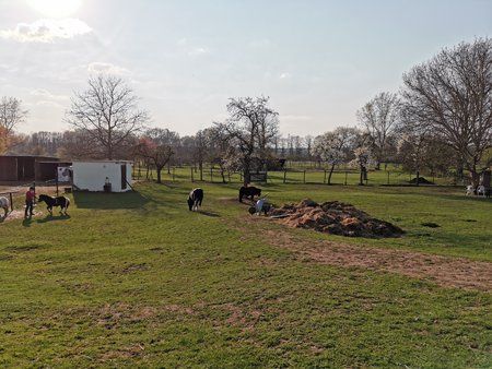 IMG_20190408_173921.jpg