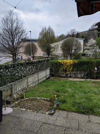 MVIMG_20190409_165552.jpg