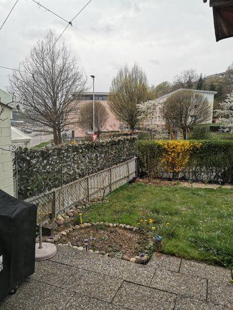 IMG_20190409_165552.jpg