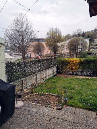 downloadfile-1_20190409175444740.jpg