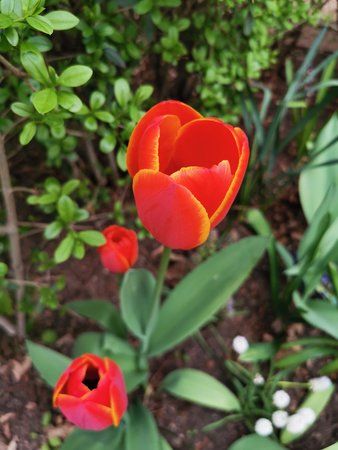 IMG_20190409_170910.jpg