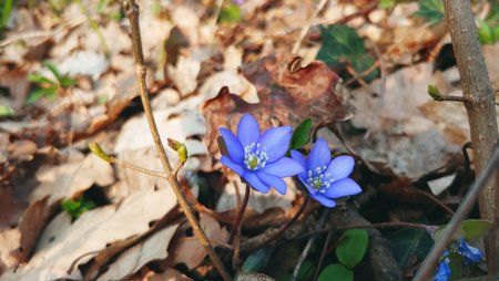 20190324_154136_HDR.jpg