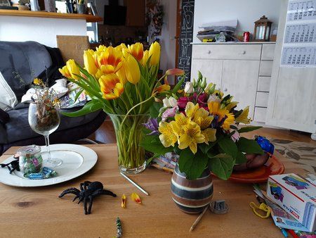 2019-04-11 10.42.30.jpg