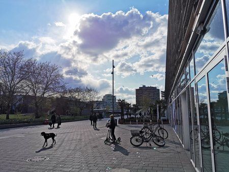 IMG_20190412_165657.jpg