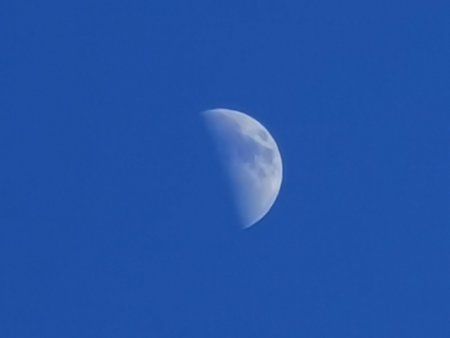 IMG_20190412_185349.jpg