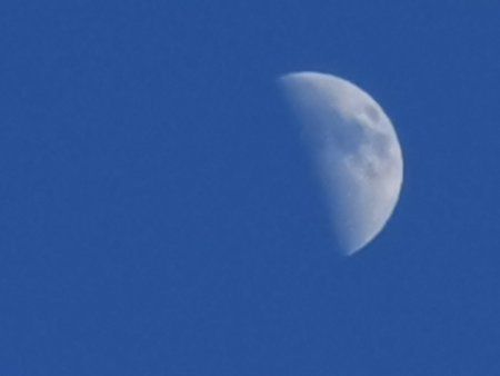 IMG_20190412_185502.jpg