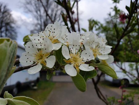 20190413_090404.jpg