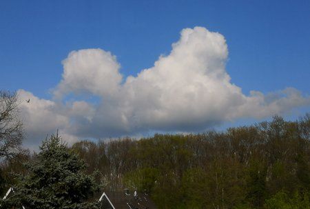 IMG_20190413_170128.jpg