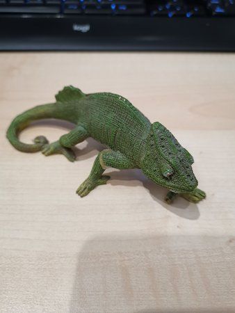 IMG_20190413_235636.jpg