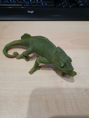 IMG_20190413_235639.jpg