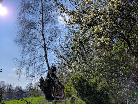 IMG_20190415_165943.jpg