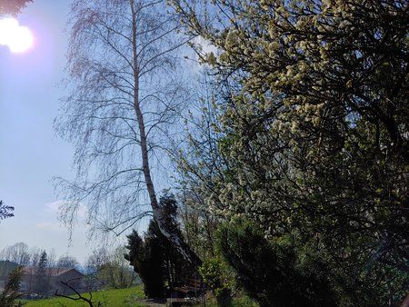 20190415_165912_HDR.jpg